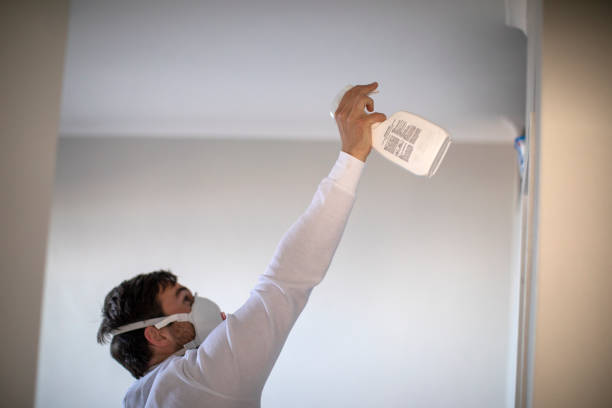 Professional Mold Remediation in Wye, MT